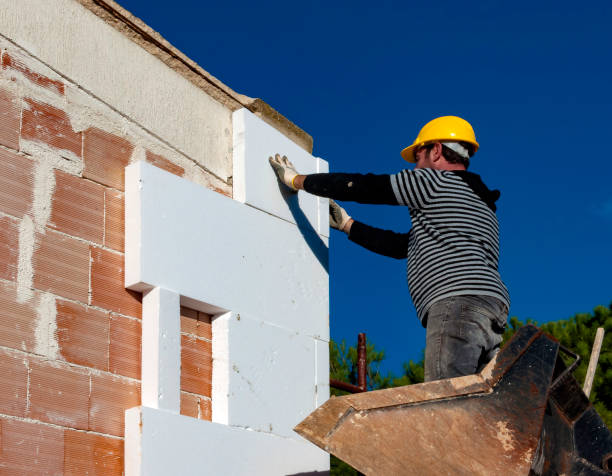 Best Specialized Insulation Services in Rancho San Diego, CA