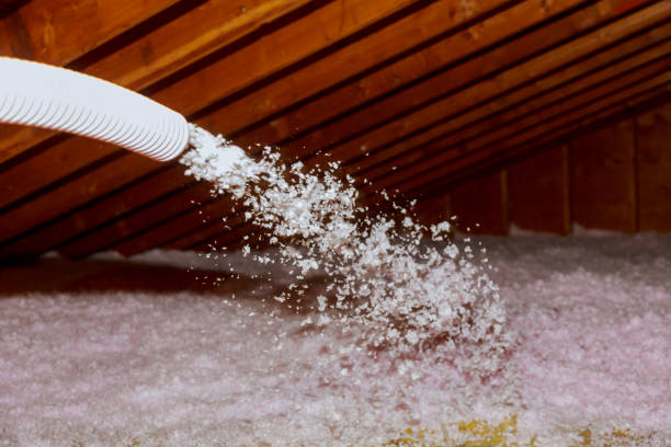 Best DIY Insulation Kits and Guidance in Rancho San Diego, CA