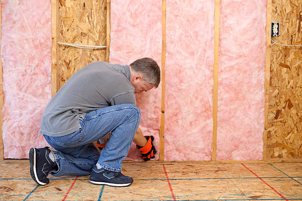 Best Residential Insulation in Rancho San Diego, CA