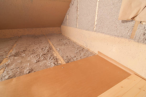 Best Geographic-Specific Insulation Services in Rancho San Diego, CA