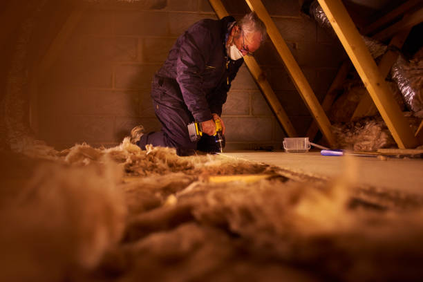 Best Commercial Insulation in Rancho San Diego, CA